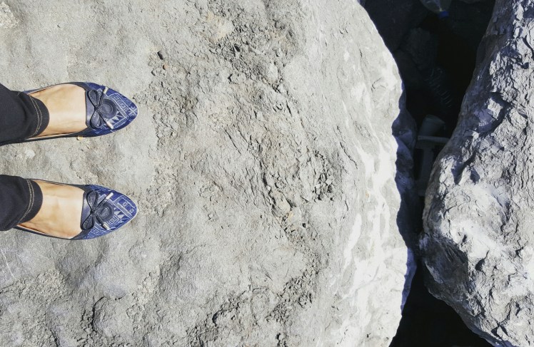 wp-1458935282818 image