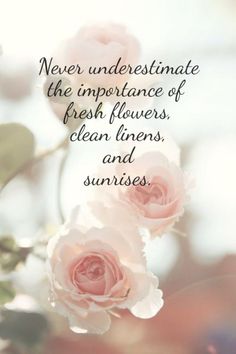 2925d4ac8bd789db2ab8008212e9a0ea