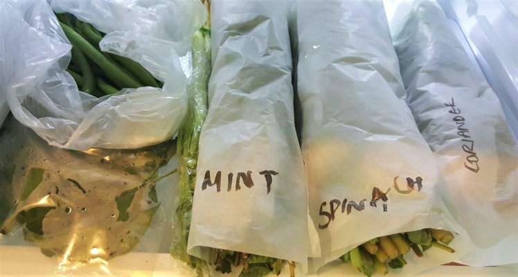 20170129_133353_resized