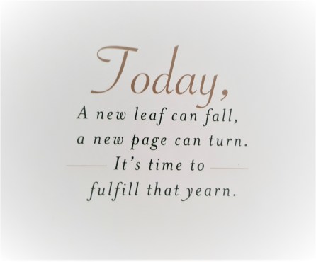 20170529_085243_resized